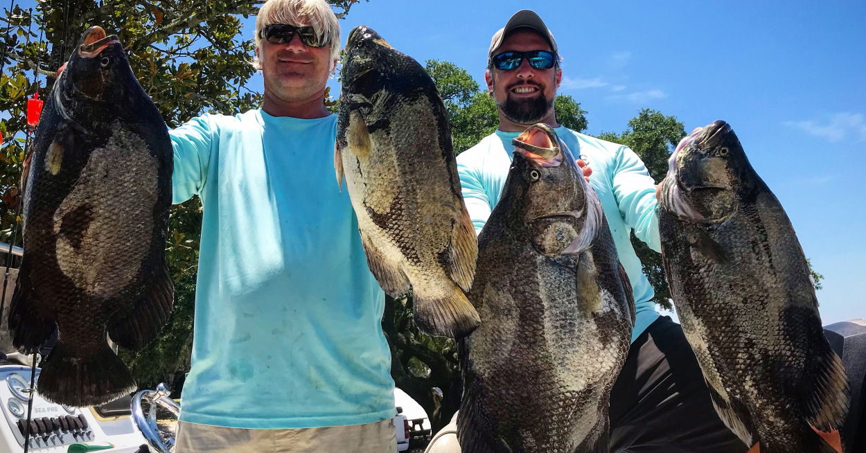 http://strong%20angler%20of%20the%20week