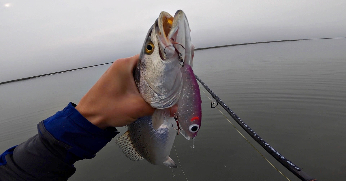 http://paul%20brown%20corky%20lure%20comparison