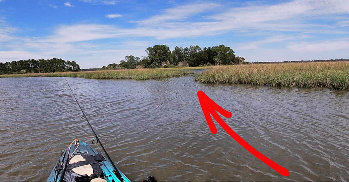 http://target%20zones%20in%20creek%20systems