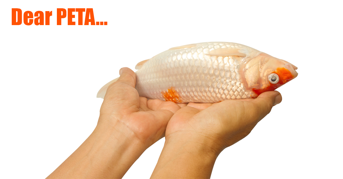 http://peta%20on%20catch%20and%20release%20fishing