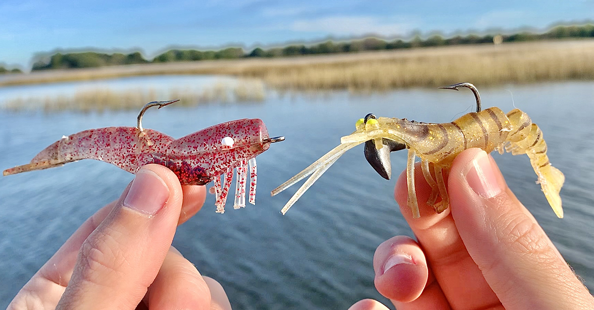 http://doa%20vs%20vudu%20shrimp