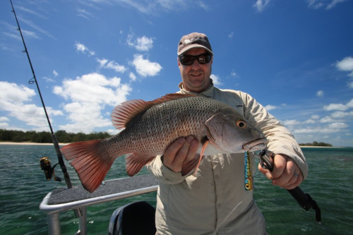 doc lures