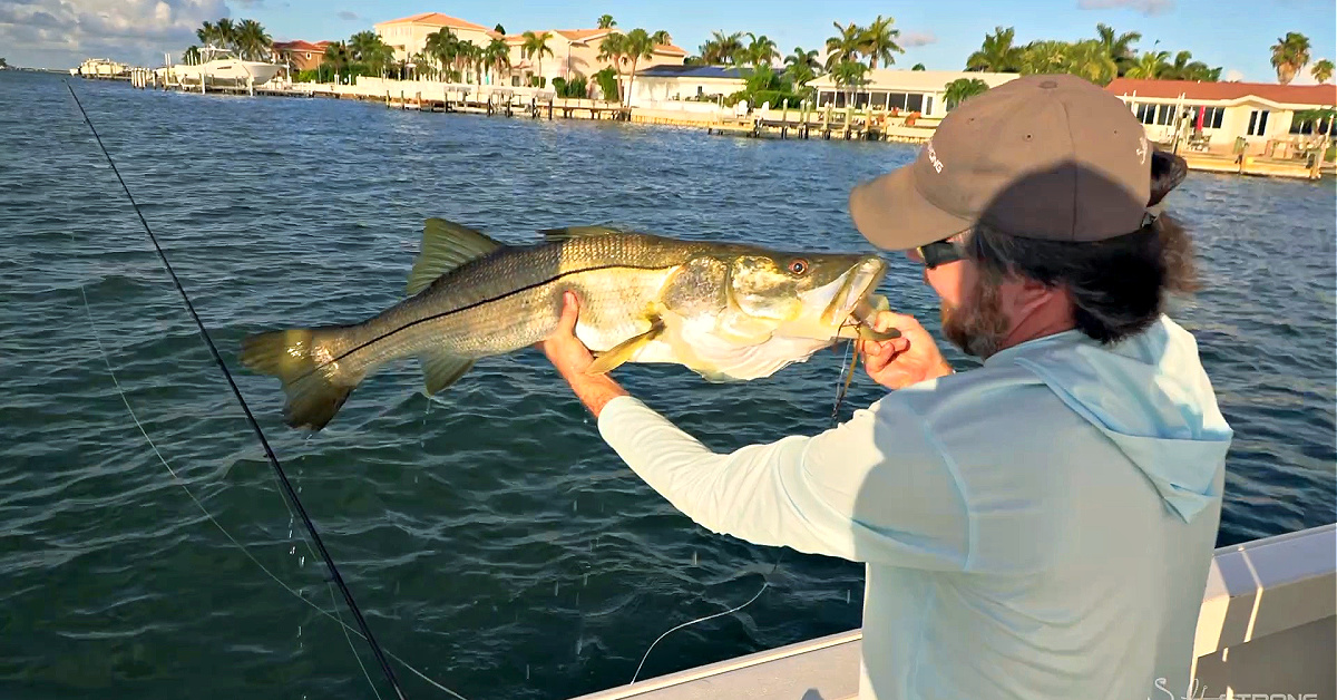 http://spinning%20combo%20for%20dock%20fishing