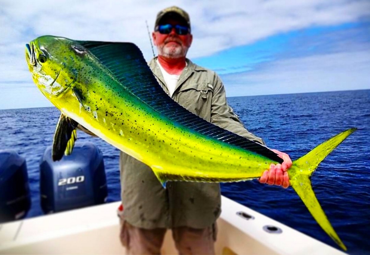 best mahi mahi recipes
