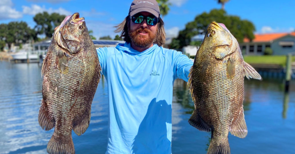 double keeper tripletail