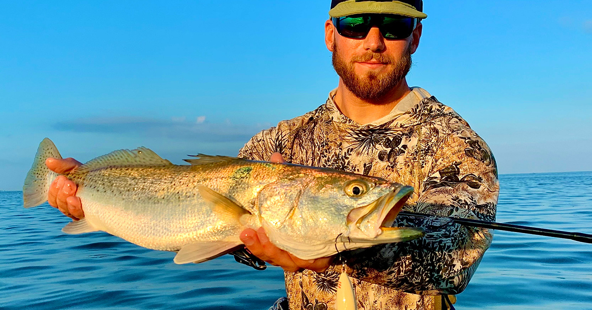 http://fall%20fish%20biology