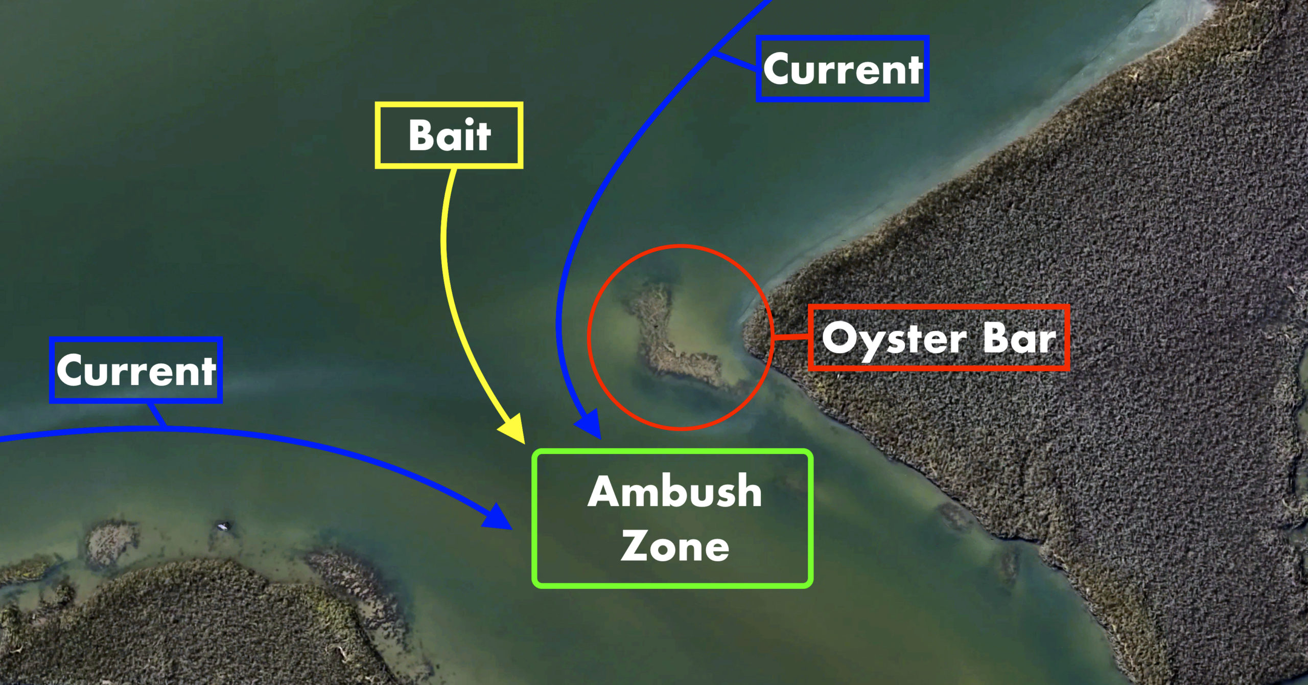 http://how%20to%20fish%20oyster%20bars