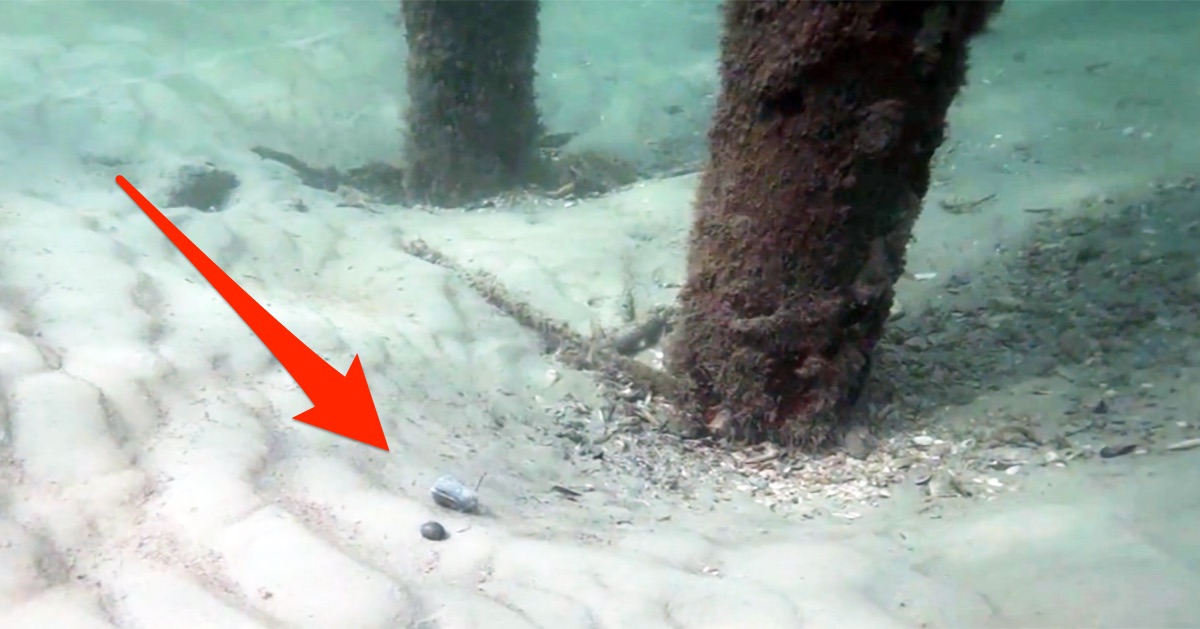 http://fishing%20structure%20mistake