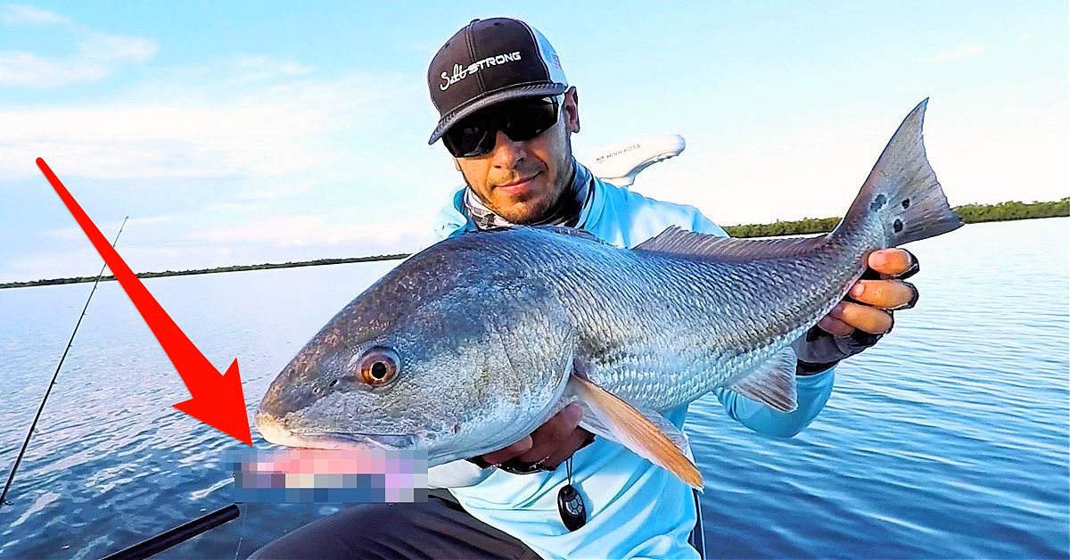 http://new%20power%20prawn%20usa%20jr%20lure%20color