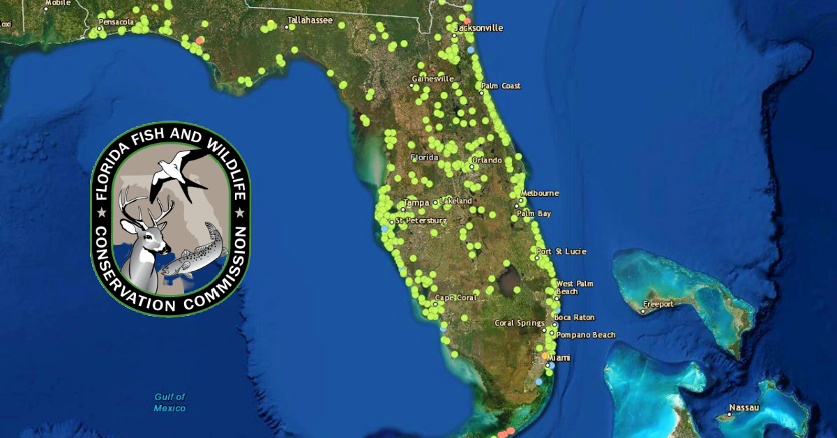 http://new%20fwc%20fishing%20pier%20finder