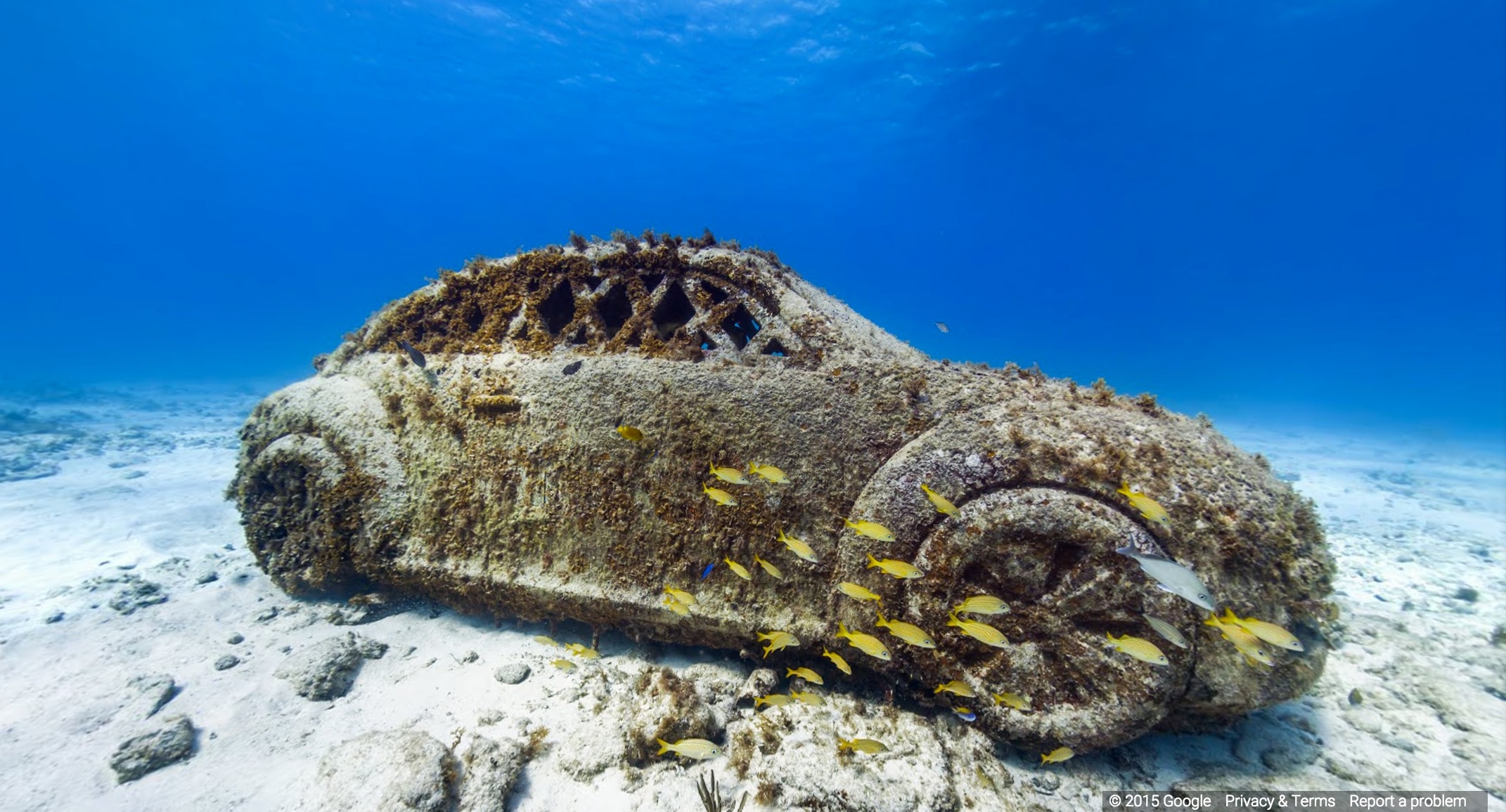 http://google%20ocean%20view