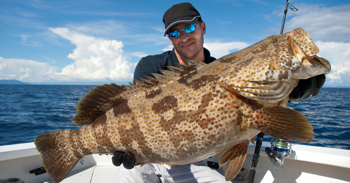 best way to cook grouper