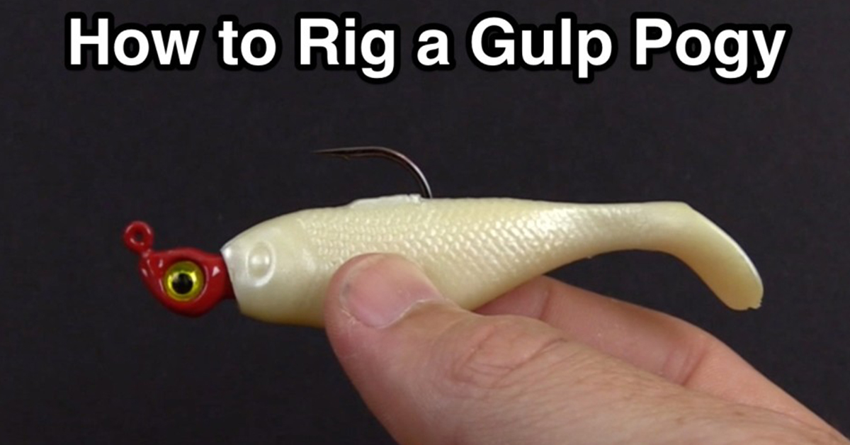 http://berkley%20gulp%20pogy