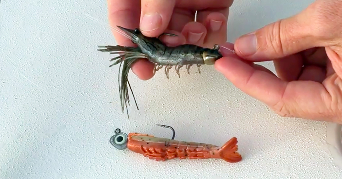 http://gulp%20shrimp%20vs%20livetarget%20fleeing%20shrimp