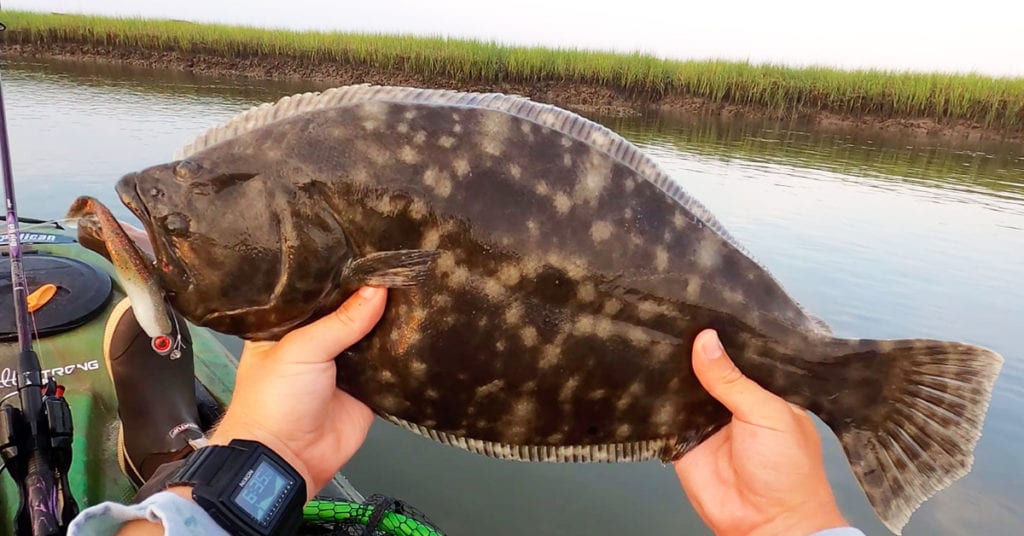 how to catch flounder