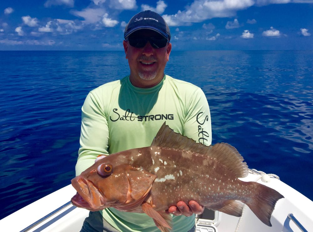 saltwater fish high in mercury