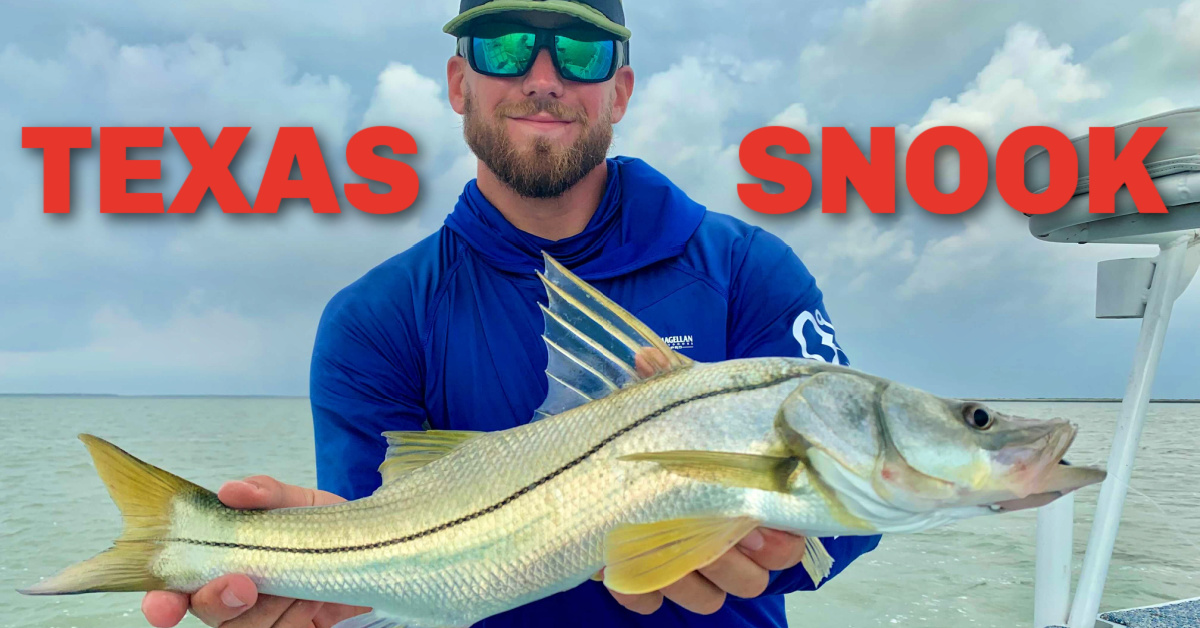 http://it's%20a%20texas%20snook%20y'all