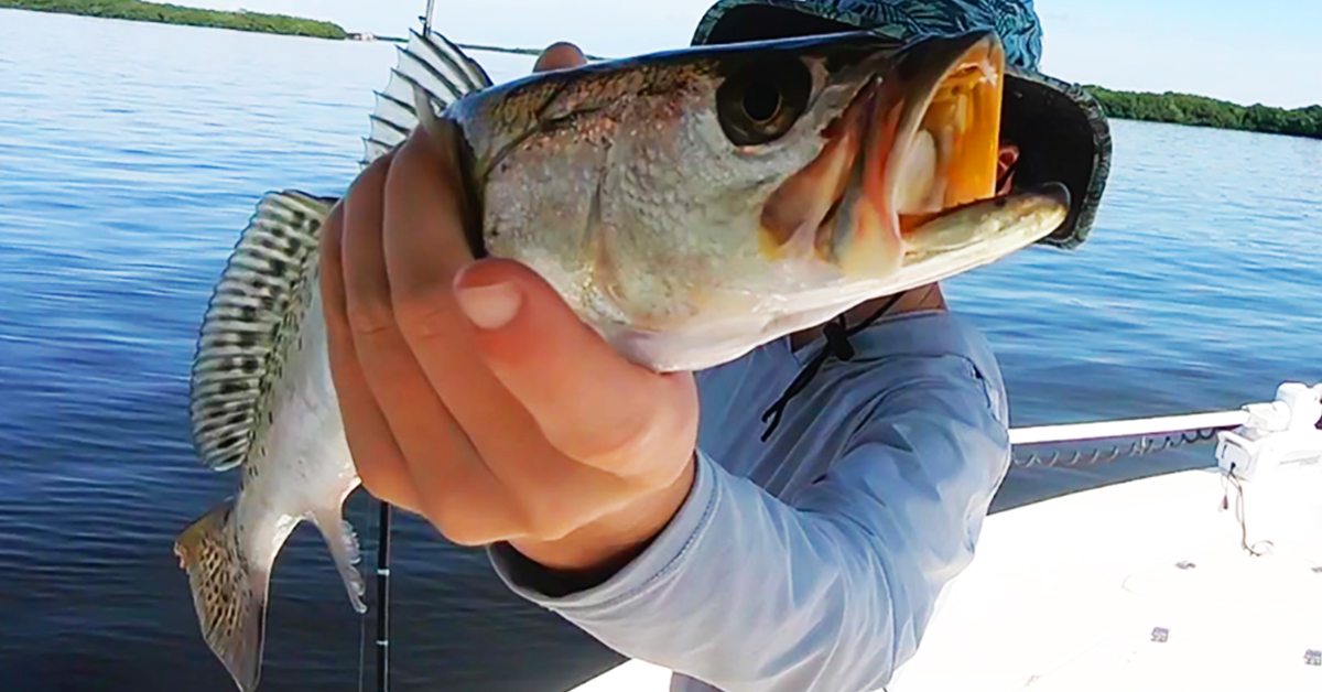 http://cold%20front%20fishing%20tips