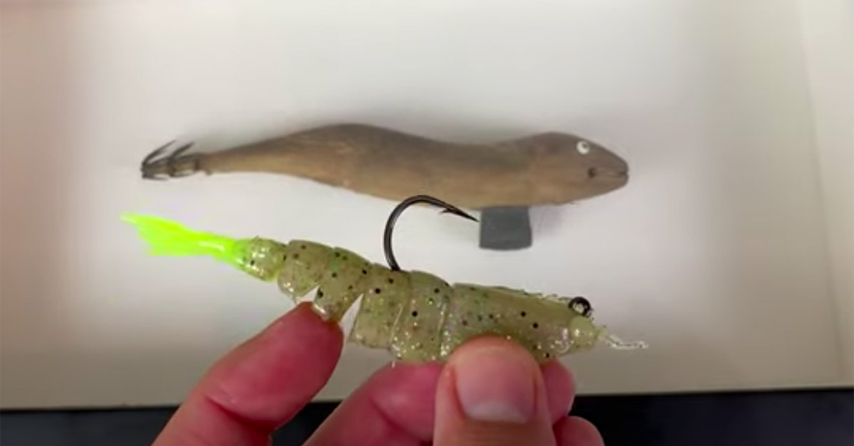 http://antique%20japanese%20egi%20squid%20lure
