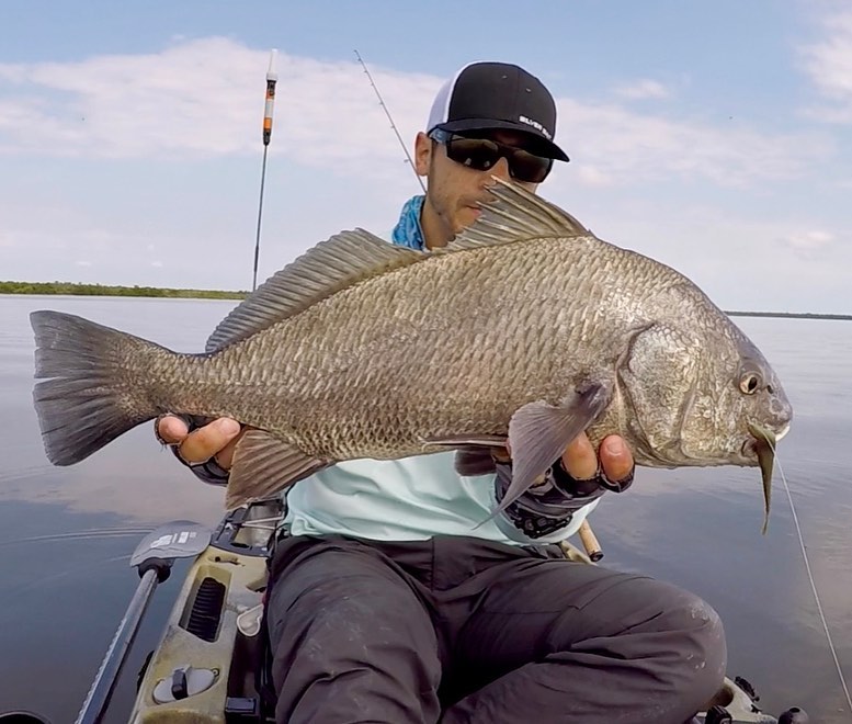 black drum gulp jerk shad
