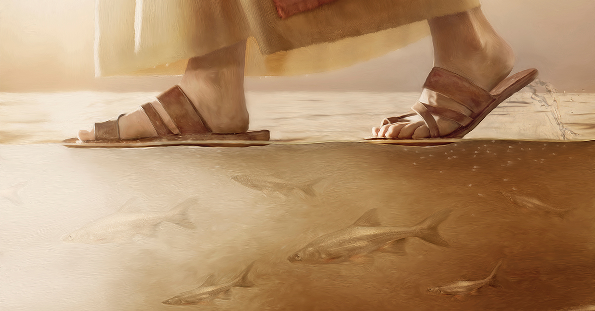 http://why%20jesus%20walked%20everywhere