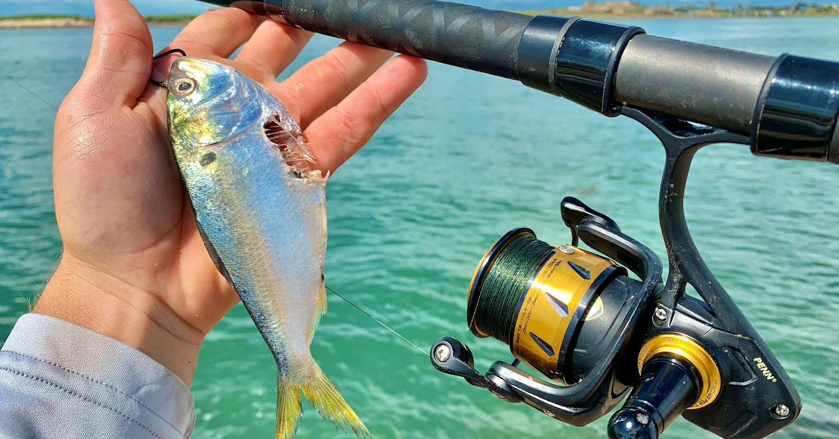 http://jetty%20fishing%20for%20redfish