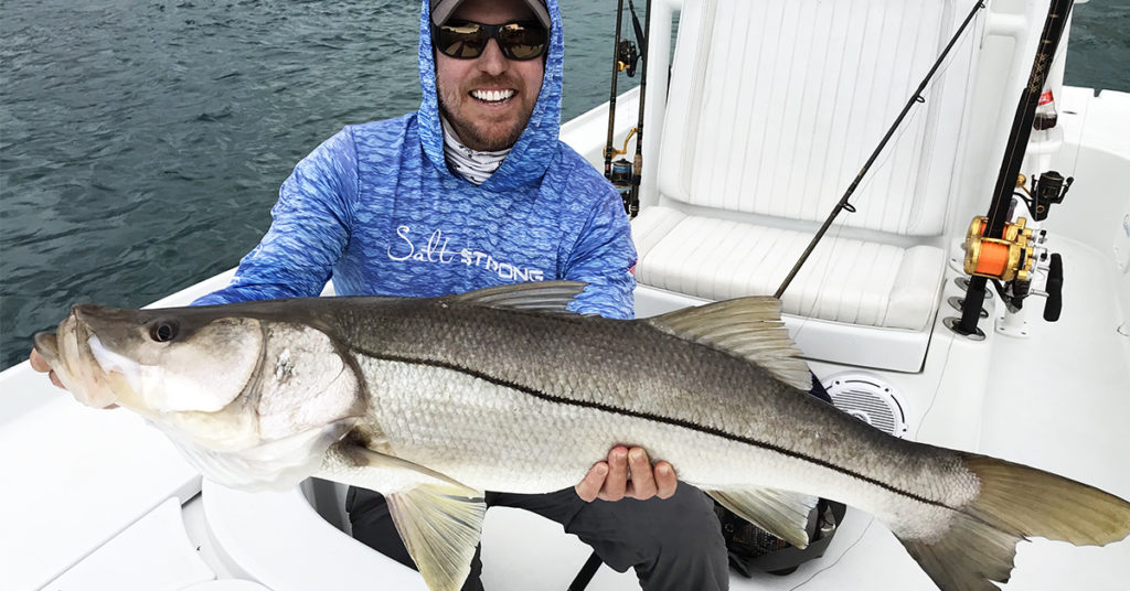 how to apply dr juice to catch more fish