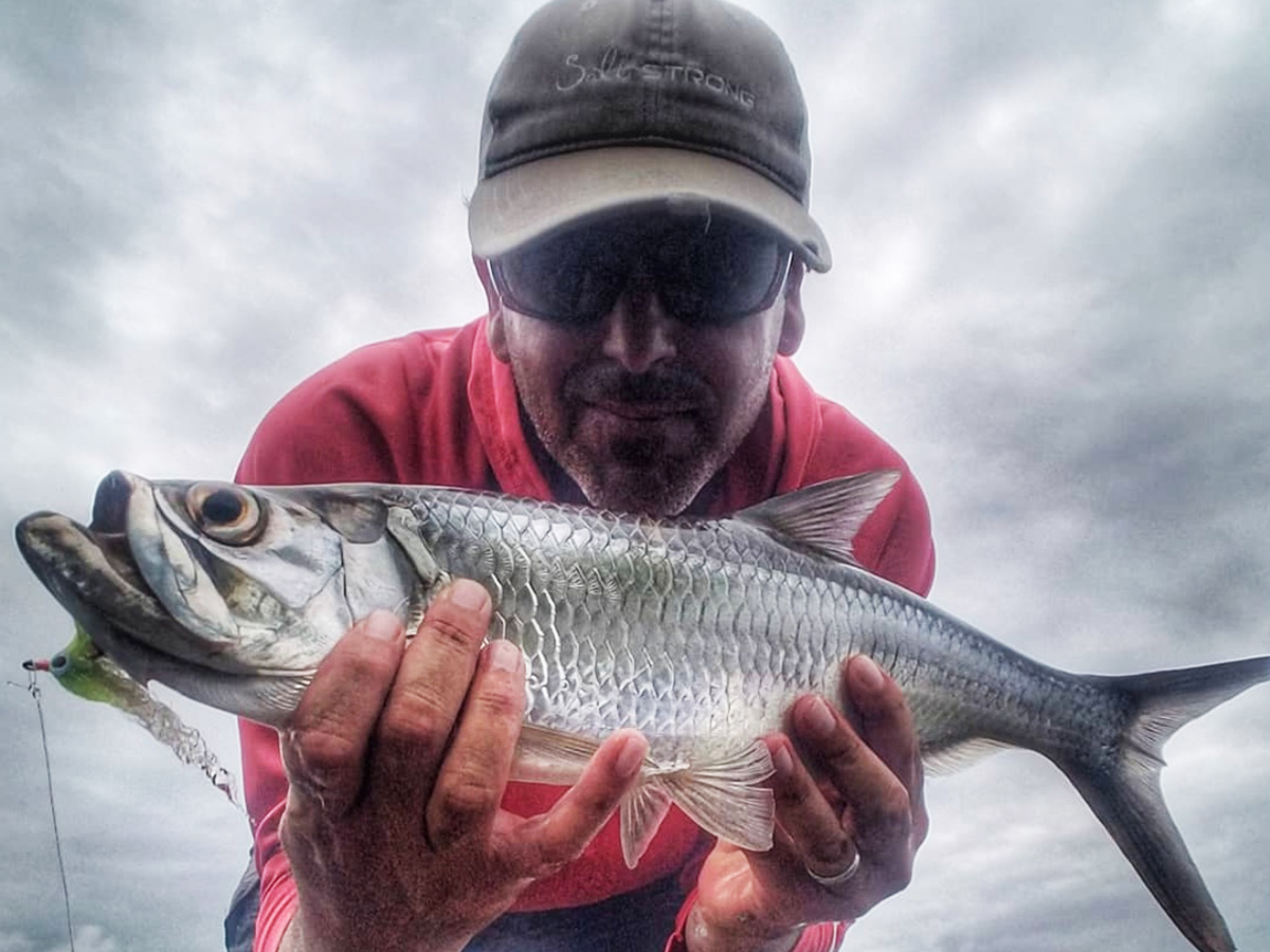 fly fishing for tarpon