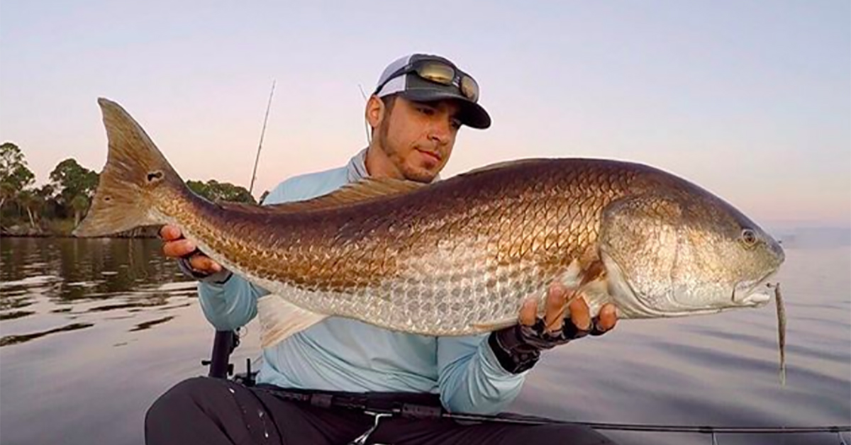 http://why%20use%20light%20line%20inshore%20fishing
