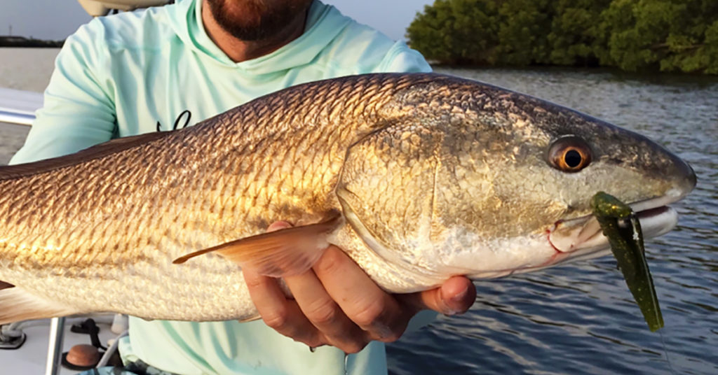 rigging jerk shads