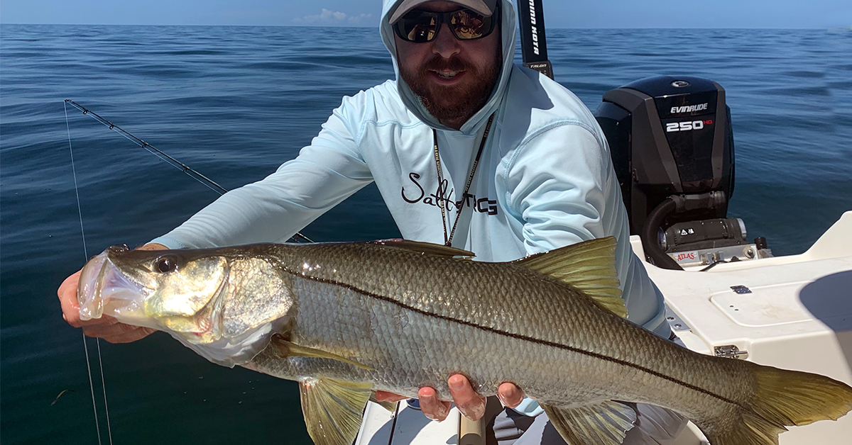 http://summertime%20beach%20snook