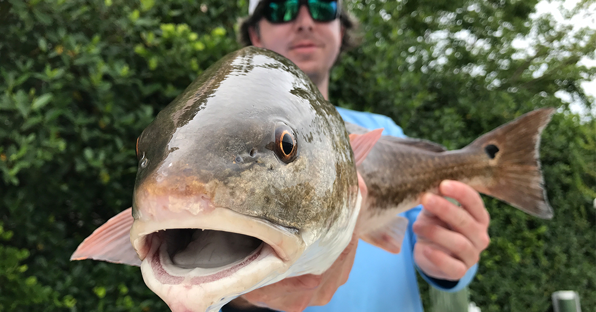 http://smart%20fishing%20spots%20redfish