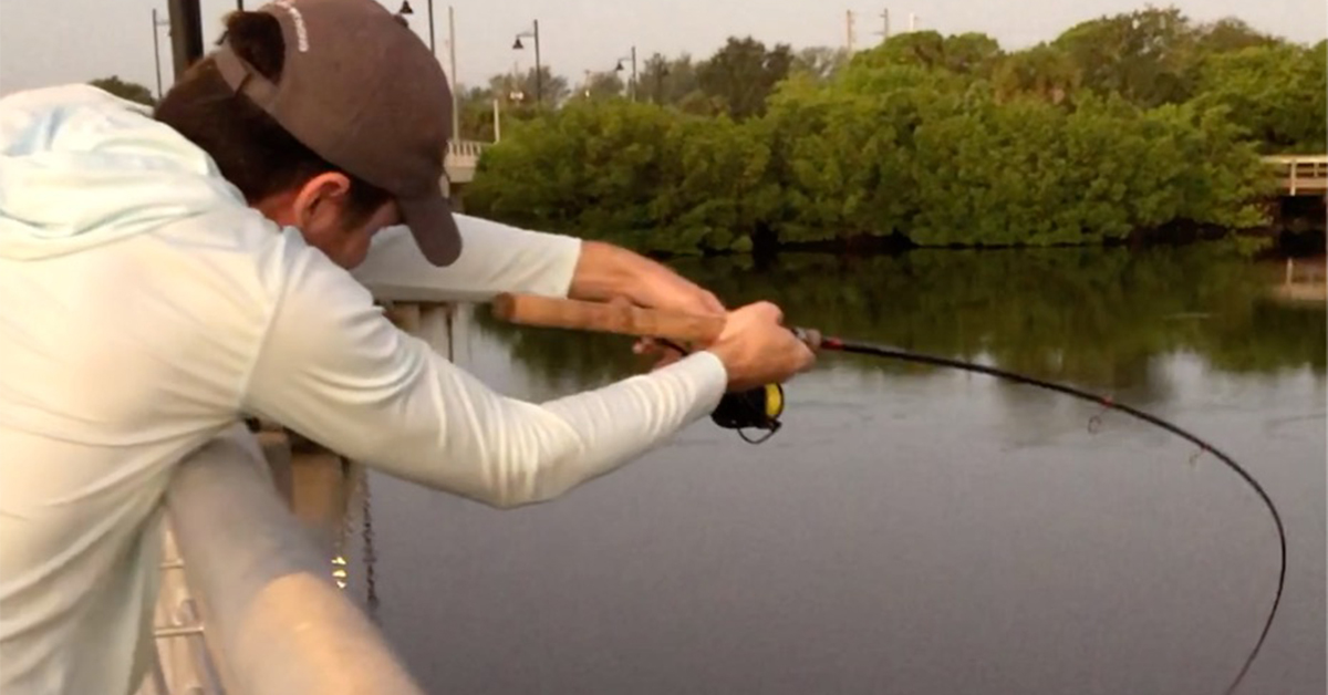 http://snook%20fishing%20sightcasting%20from%20bridge