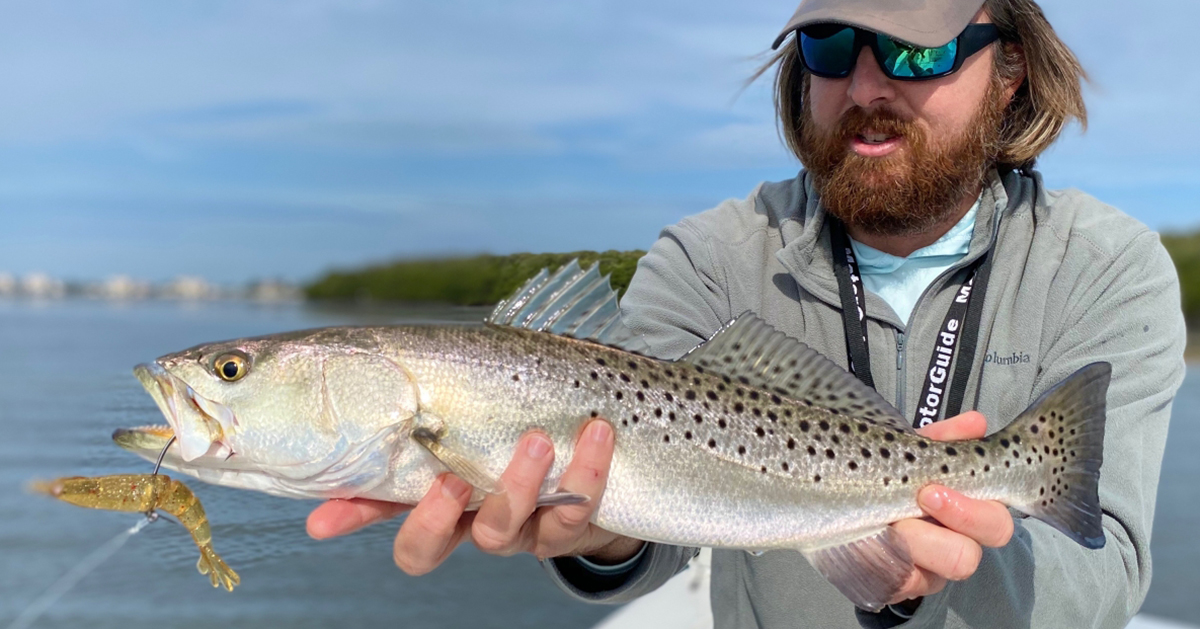 http://best%20winter%20saltwater%20lure