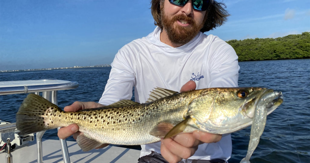 set hook with big paddletails
