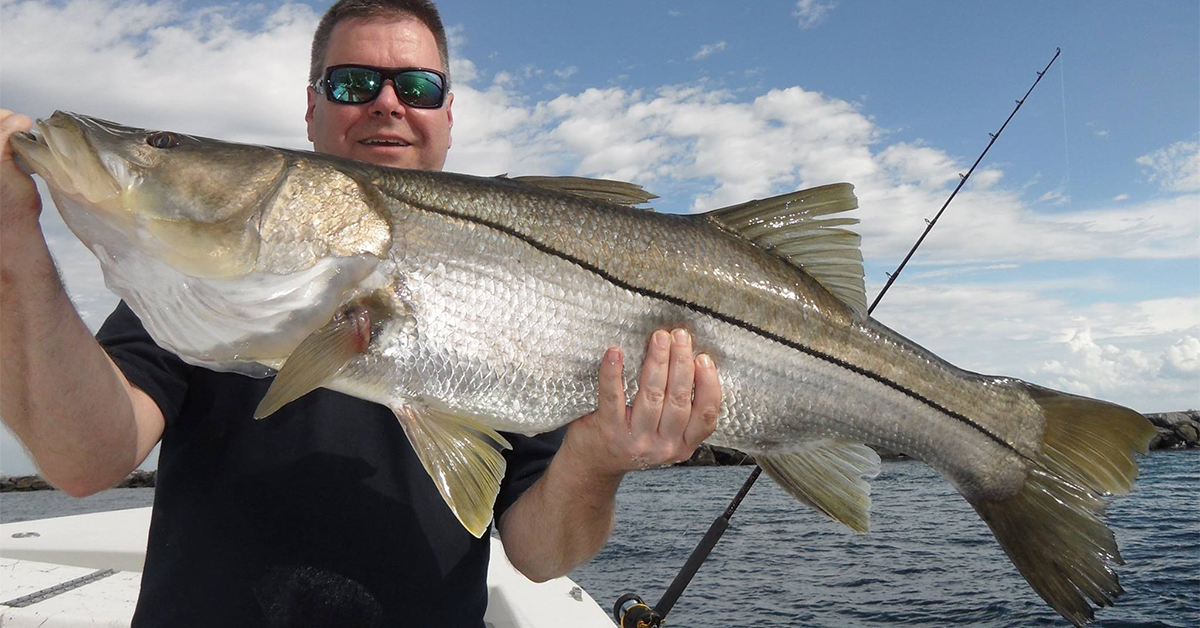 http://how%20to%20catch%20snook%20with%20the%20mad%20snooker%20podcast%20interview