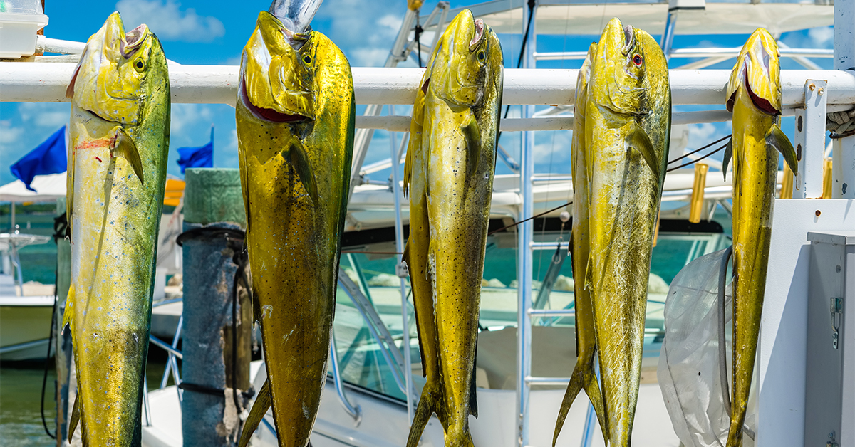 http://fishing%20is%20good%20for%20your%20health