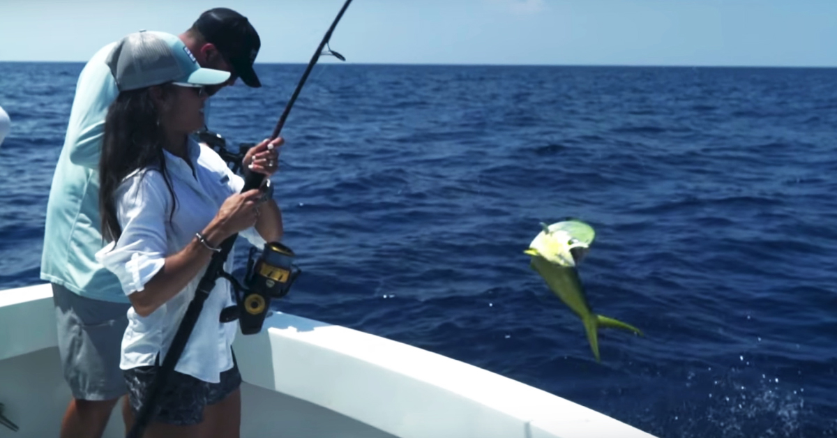 Mahi-Mahi Fishing Landing