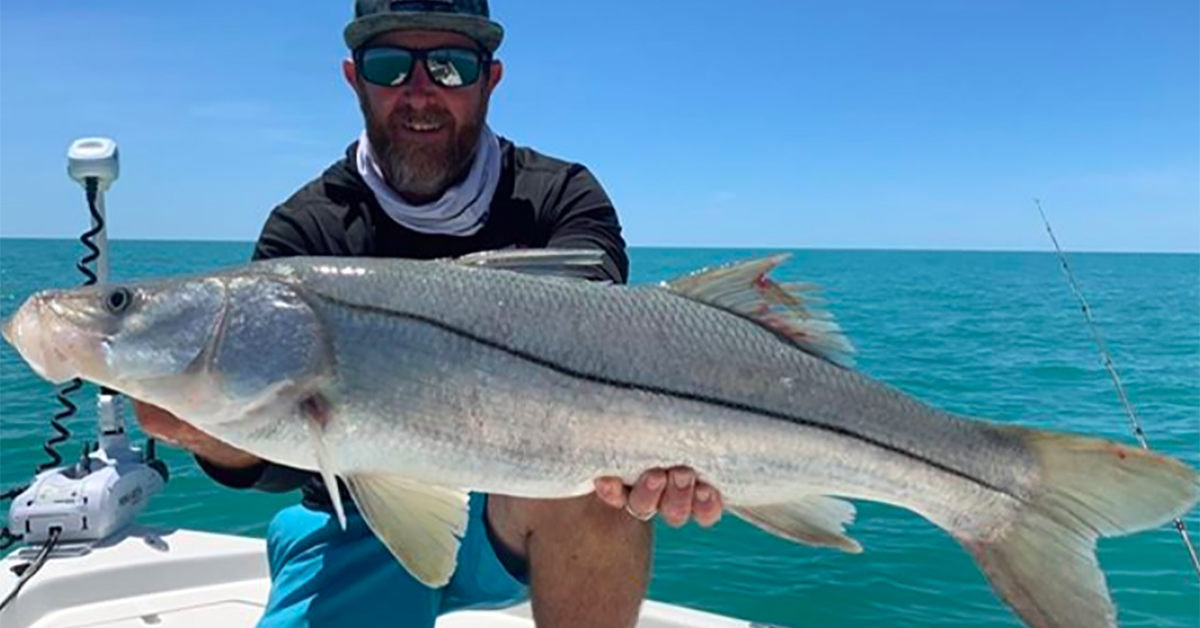 http://big%20southwest%20florida%20snook