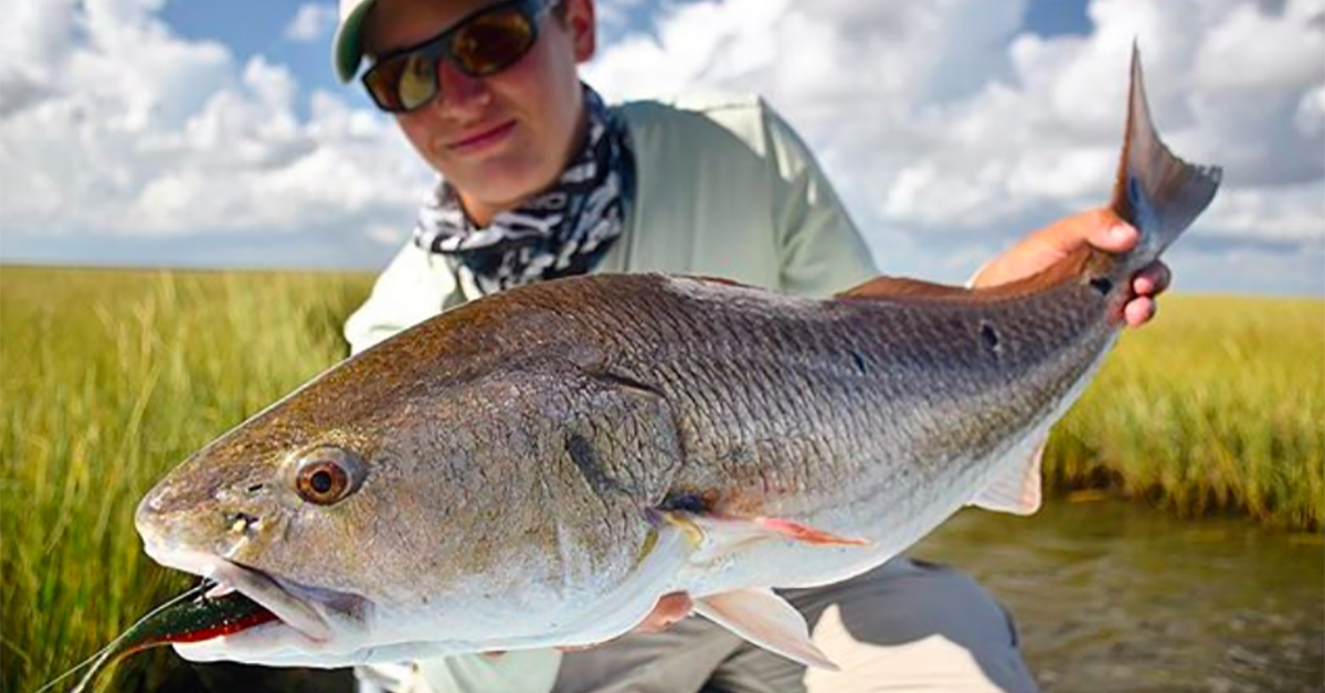 max mckinley redfish