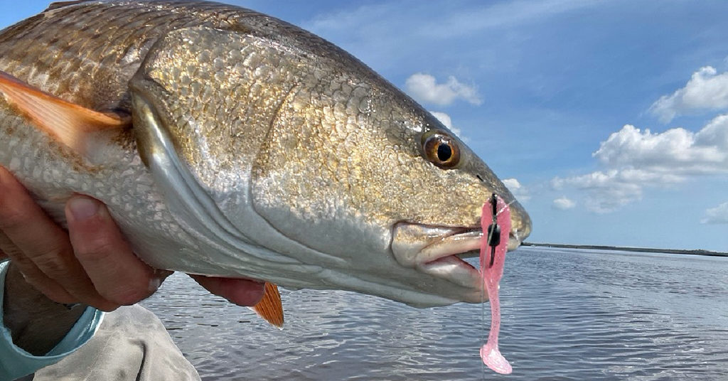 how to fish mudflats during outgoing tide