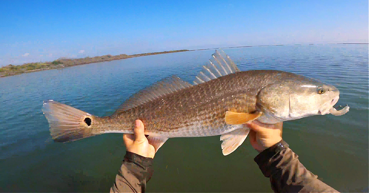 http://new%20year%20inshore%20slam%20report