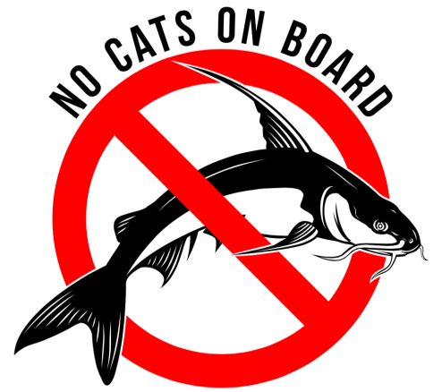 http://catching%20catfish