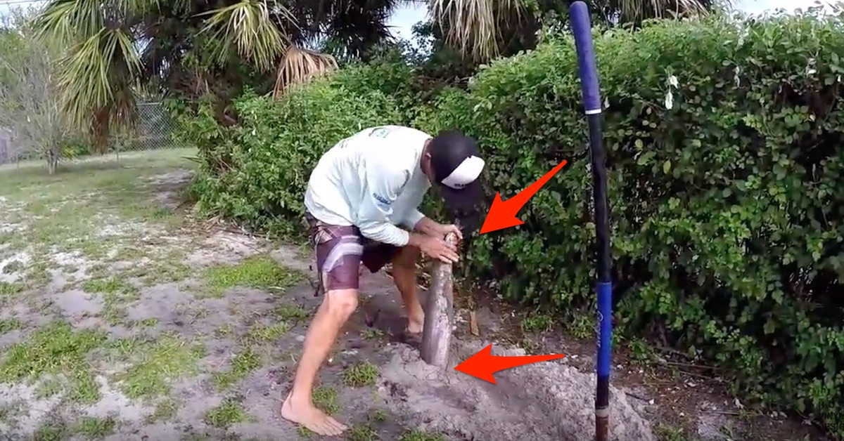 http://organic%20fishing