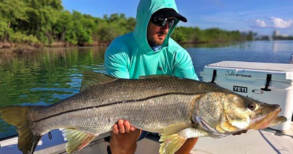 peter deeks snook