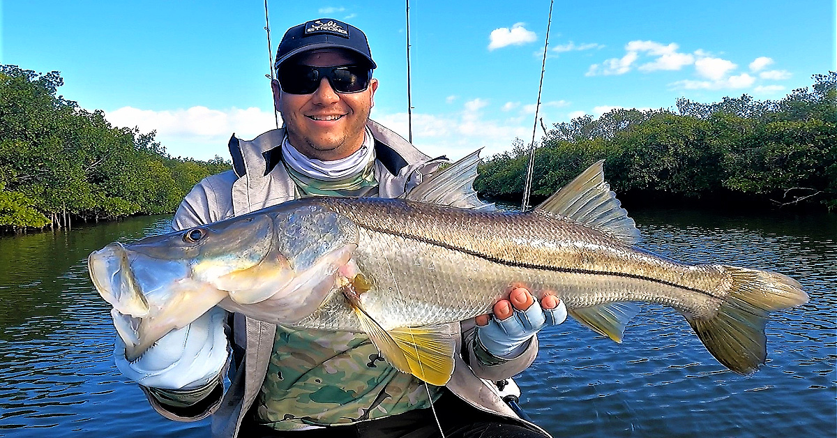 http://post%20cold%20front%20creek%20fishing%20for%20big%20redfish%20and%20snook
