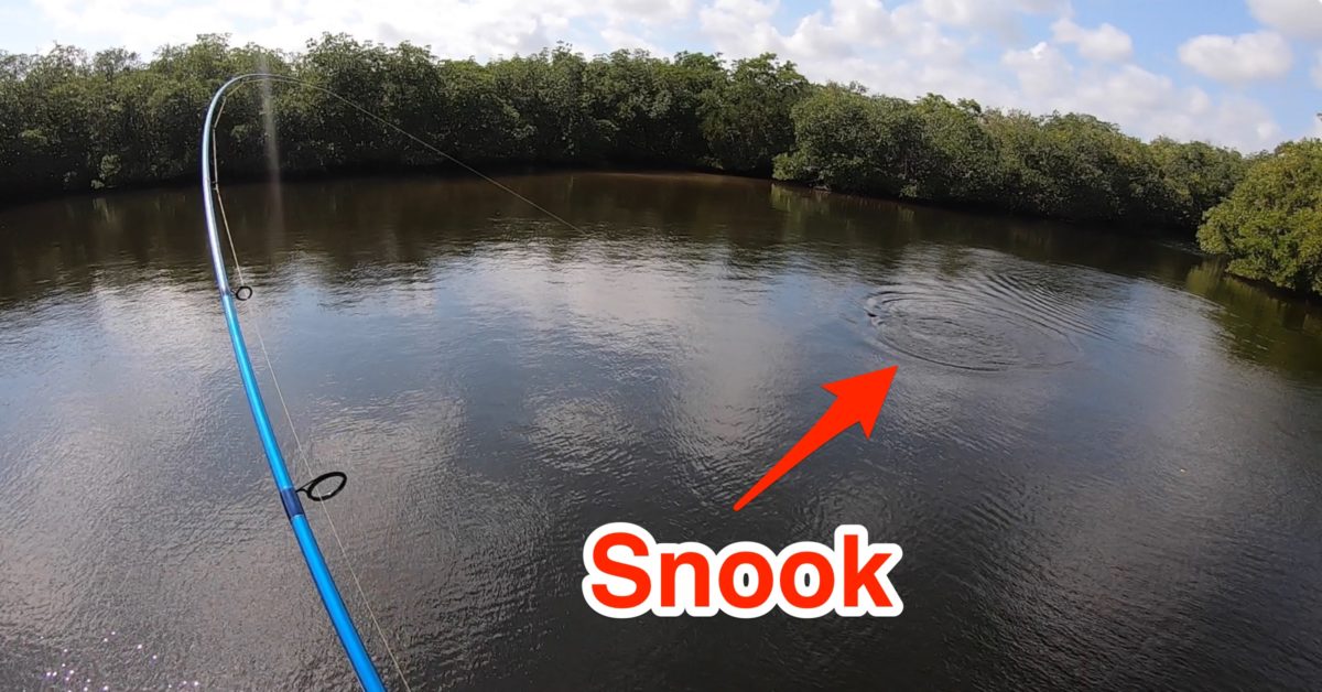 http://pre-front%20snook%20fishing