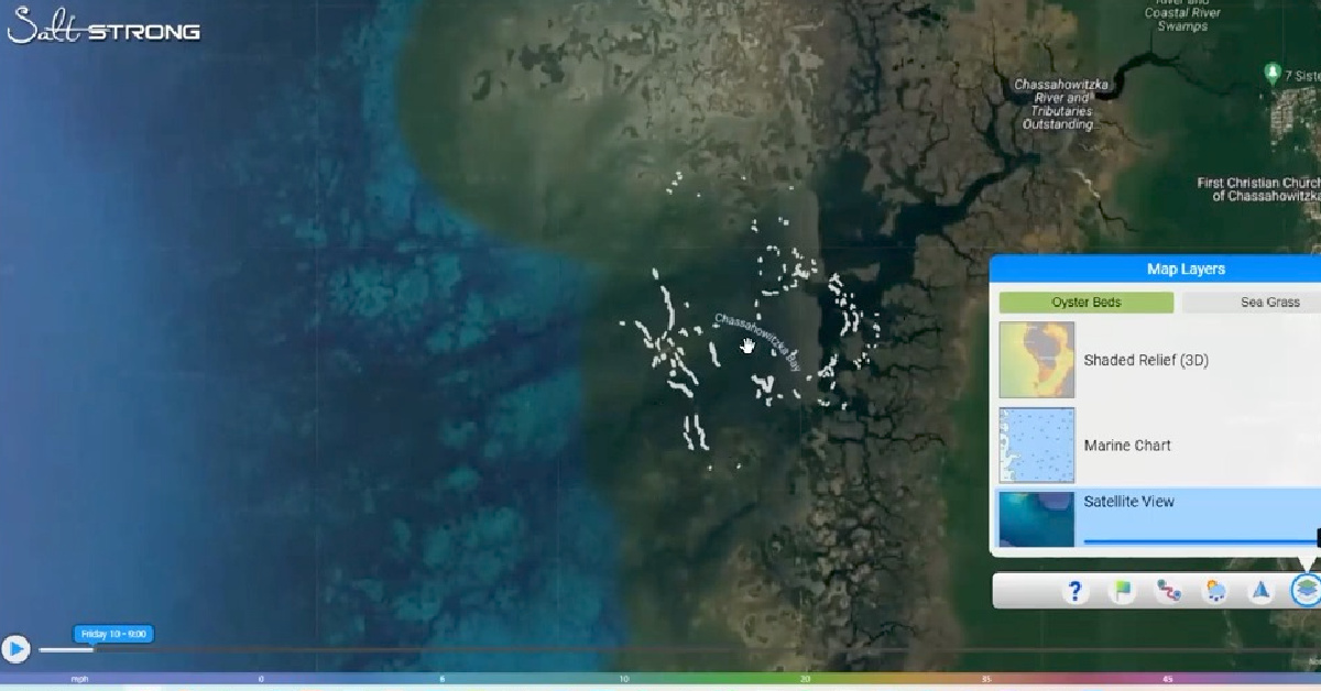 http://quickest%20way%20to%20find%20oyster%20beds%20and%20seagrass%20in%20your%20area