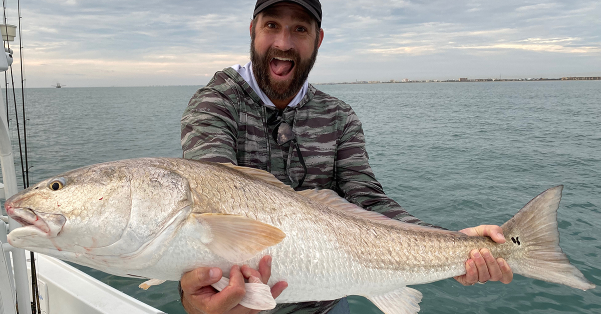 http://redfish%20cheat%20sheet