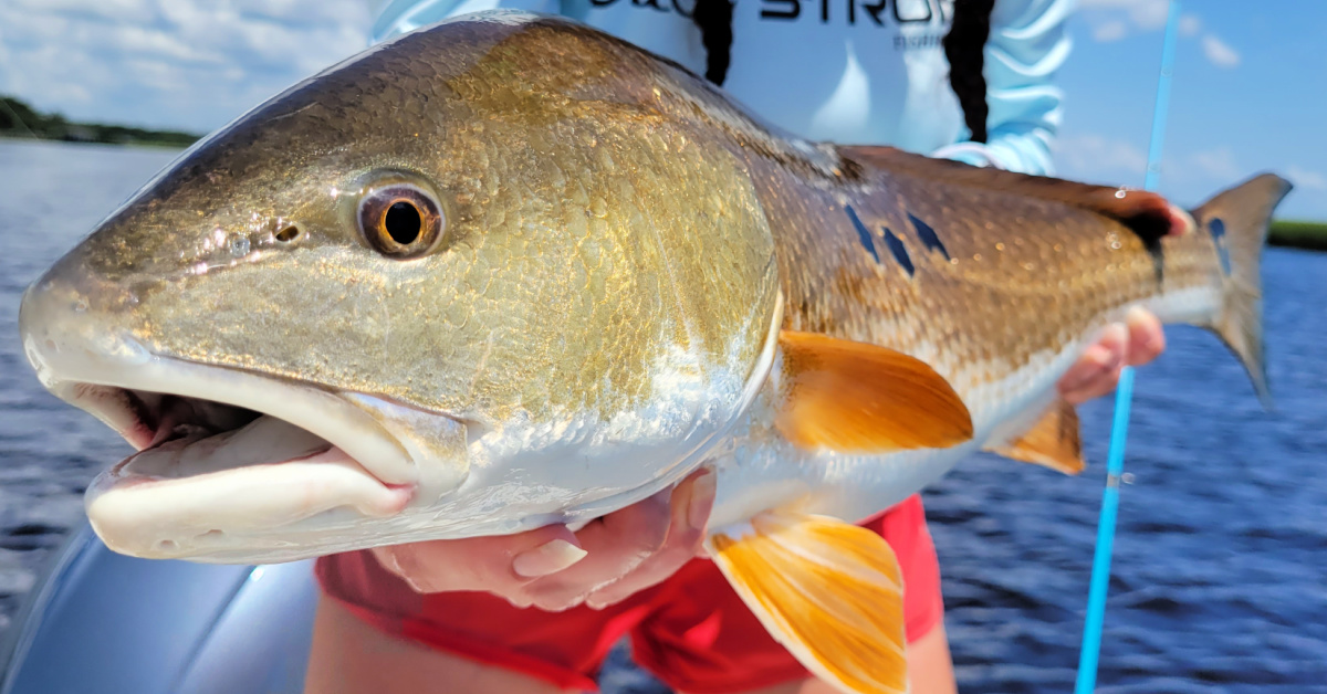 http://redfish%20spots%20tournament%20podcast